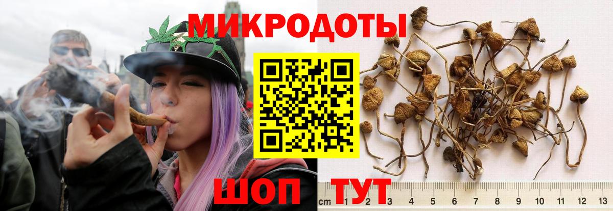 МАРИХУАНА  Вход с VPN  A-PVP СОЛЬ кристаллы  МДМА  ГАШИШ  ГАШИШ  Меф кристаллы  Экстази  Острогожск  Cocaine 